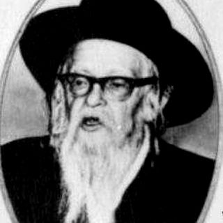 ר' דב בעריש ווידנפלד (מטשעבין)