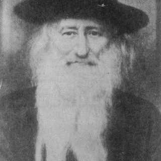 ר' שמעון גרינפלד (מהרש"ג)